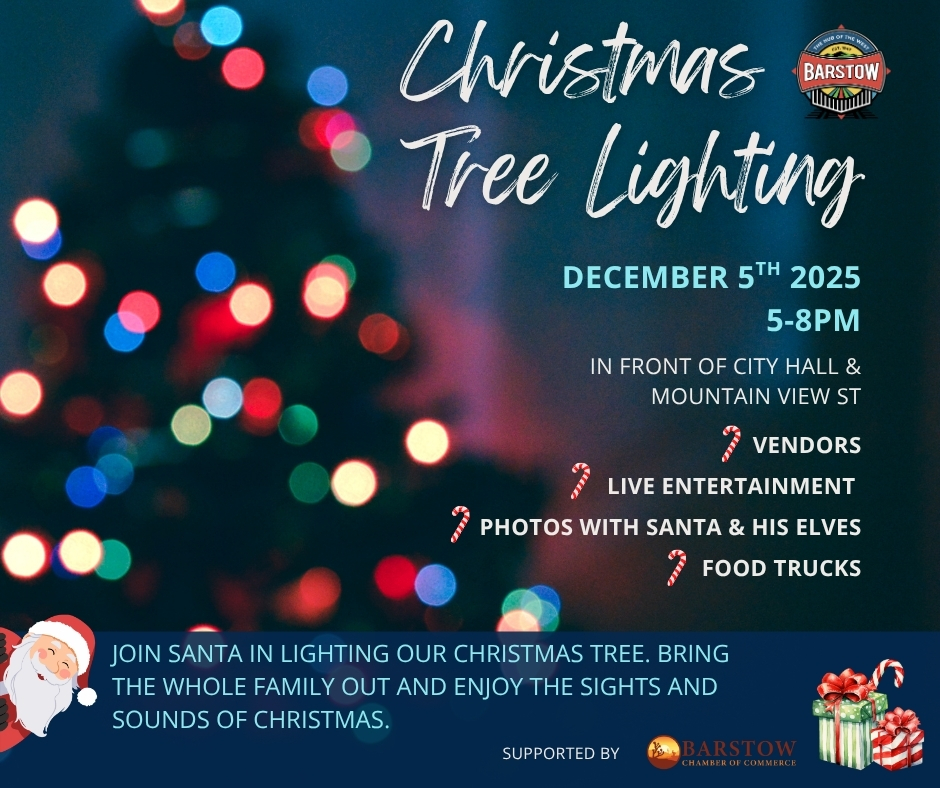 Copy of tree lighting 25