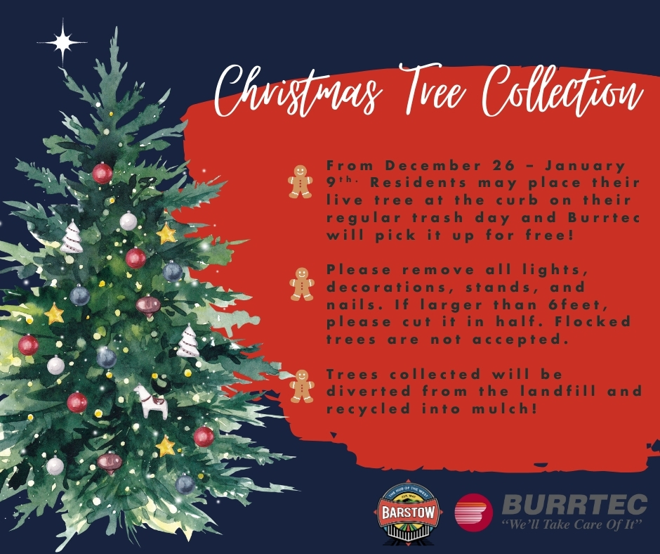 Copy of tree collection 25 social